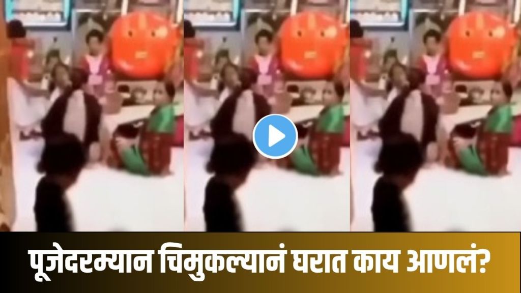 kid plays with snake in house