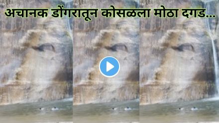 Scary Nature Moments Video