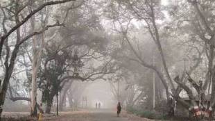 maharashtra temperature winter weather forecast cold wave alert Rain Clears mumbai