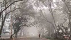 हिवाळ्यातील धुक्याचा आता अधिक व्यापक अभ्यास का? काय आहे वायफेक्स प्रकल्प?