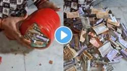महिलाच अशी सेव्हिंग करू शकतात! गल्ला फोडताच पडला नोटांचा खच, VIDEO पाहून चक्रावतील डोळे