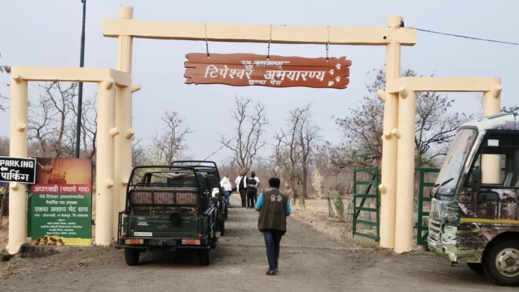 yavatmal tipeshwar wildlife sanctuary ranks 44th in india may get tiger reserve status