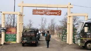 yavatmal tipeshwar wildlife sanctuary ranks 44th in india may get tiger reserve status
