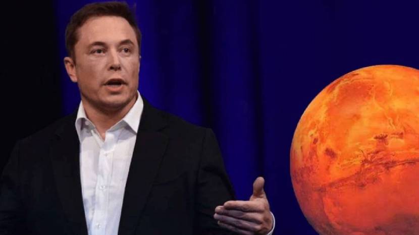 Elon Musk Political Party