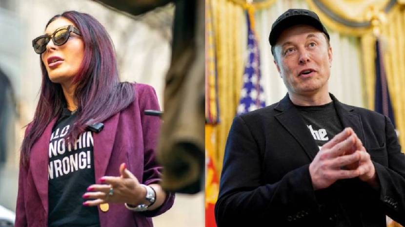 Elon Musk Political Party
