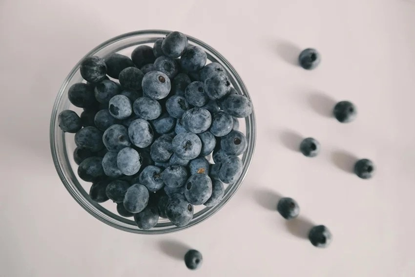 superfoods for brain power