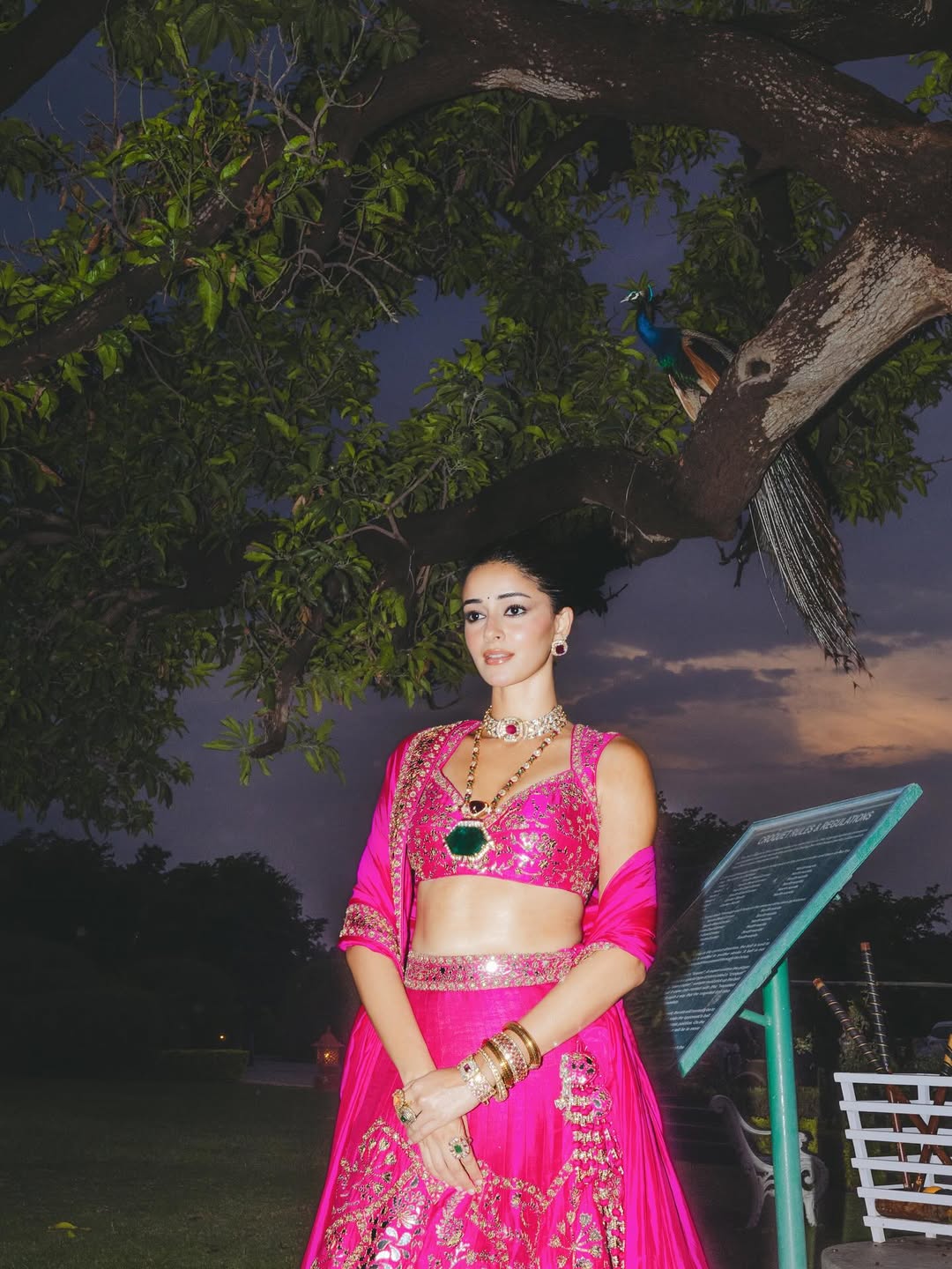 ananya panday
