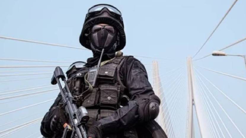 VIP Security in India