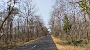 A report on the atrocities committed by billionaires on the forests of Gadchiroli