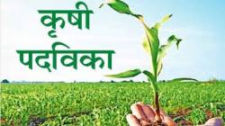 अतिवृष्टीमुळे कृषी अभ्यासक्रमाच्या प्रवेशास मुदतवाढ