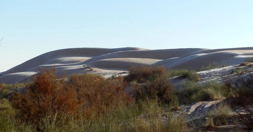 desert 