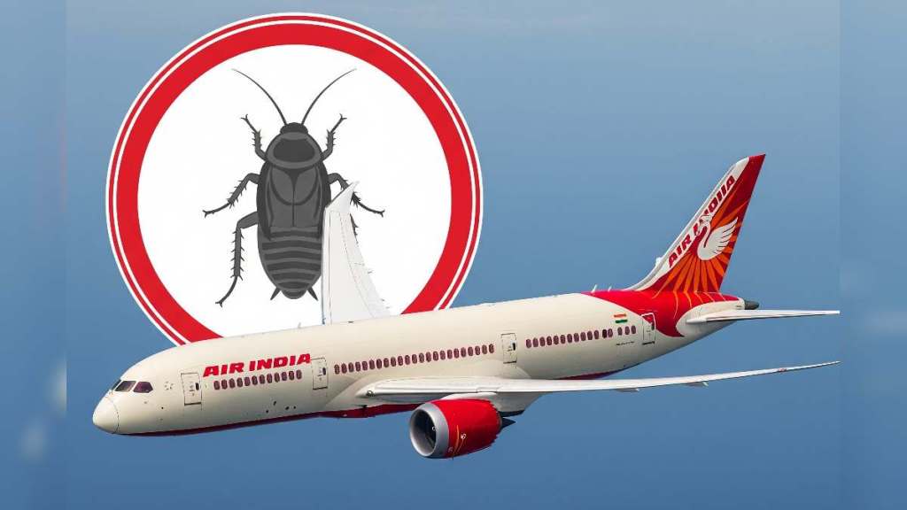Air India News Cockroaches in Flight (2)