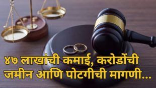 Alimony Case Madras High Court
