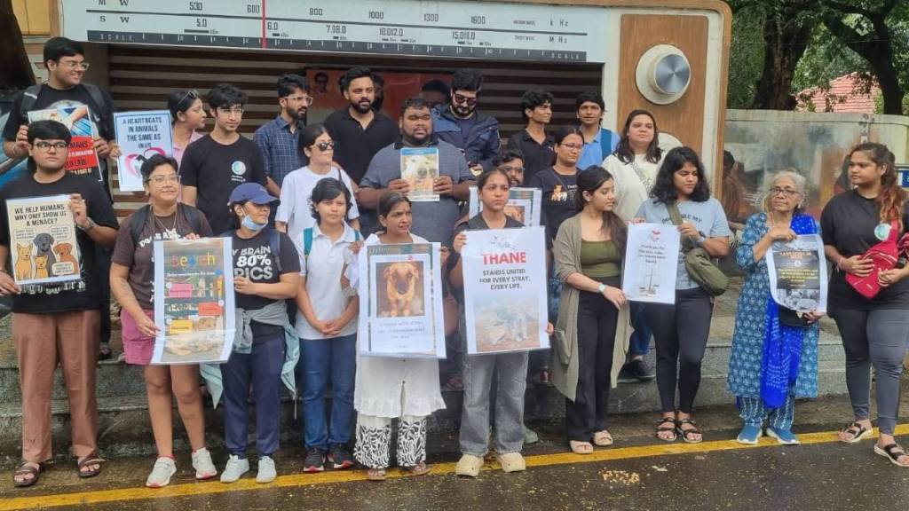 Animal lovers protest in Thane against stray dog ​​order