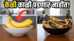 बाजारातून आणलेली केळी घरी ठेवताना फक्त करा ‘हे’ ६ उपाय; १० दिवस राहतील ताजी अन् पिवळीच, पडणार नाहीत काळी