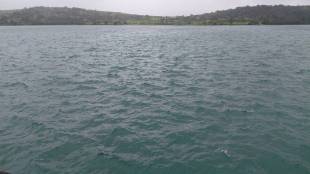 Bhandardara dam filled, alert issued to villages along Pravara river