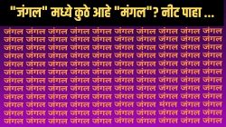 Optical Illusion: फोटोत ‘जंगल’ दिसतंय ना? पण एक ‘मंगल’ही लपलाय; दिसला नसेल तर नीट क्लिक करून पाहा…