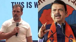 What Devendra Fadnavis Said?