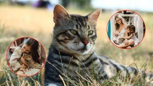 Cat Scratch Disease, Cat Scratch Disease Symptoms