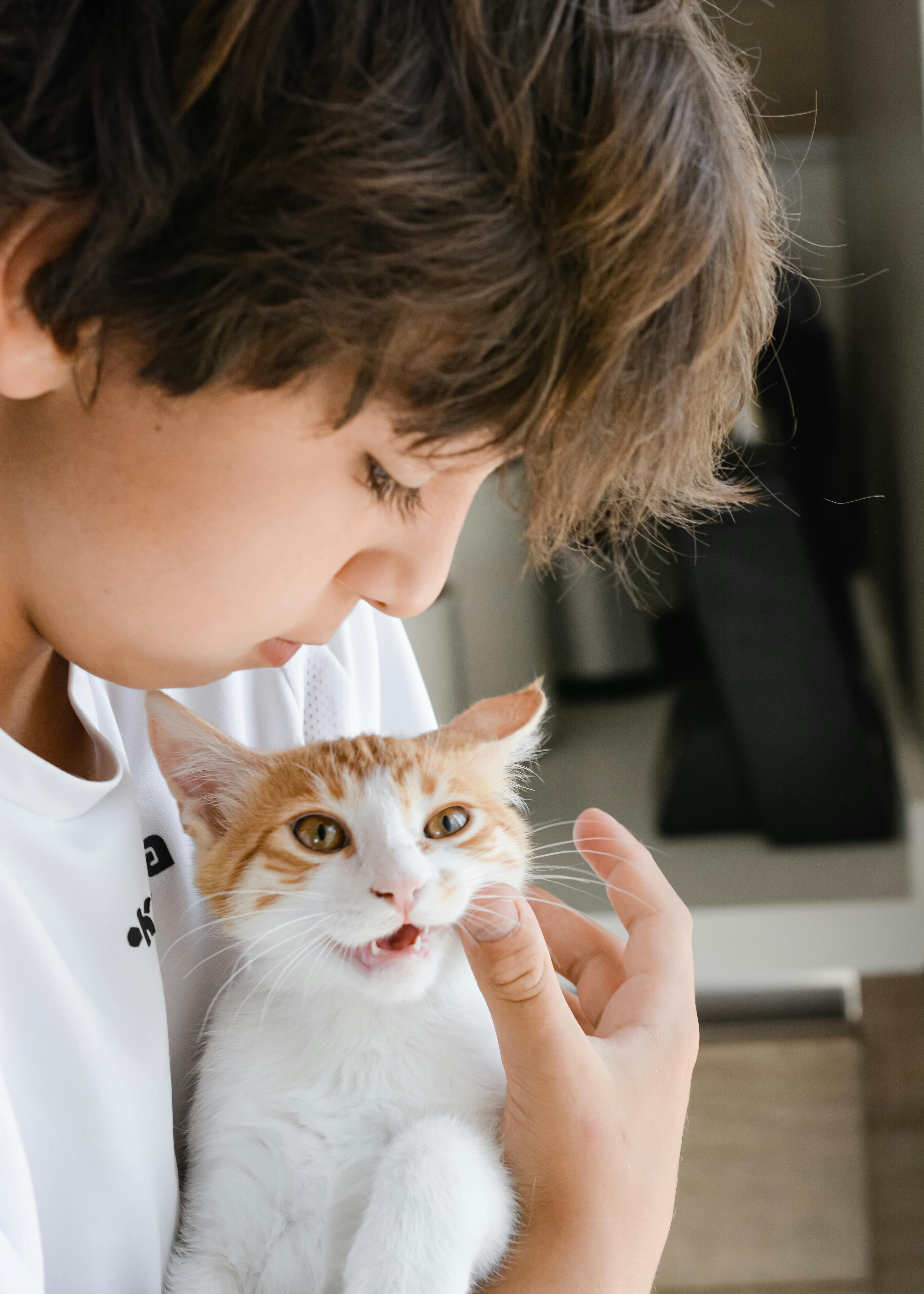 Cat Scratch Disease, Cat Scratch Disease Symptoms