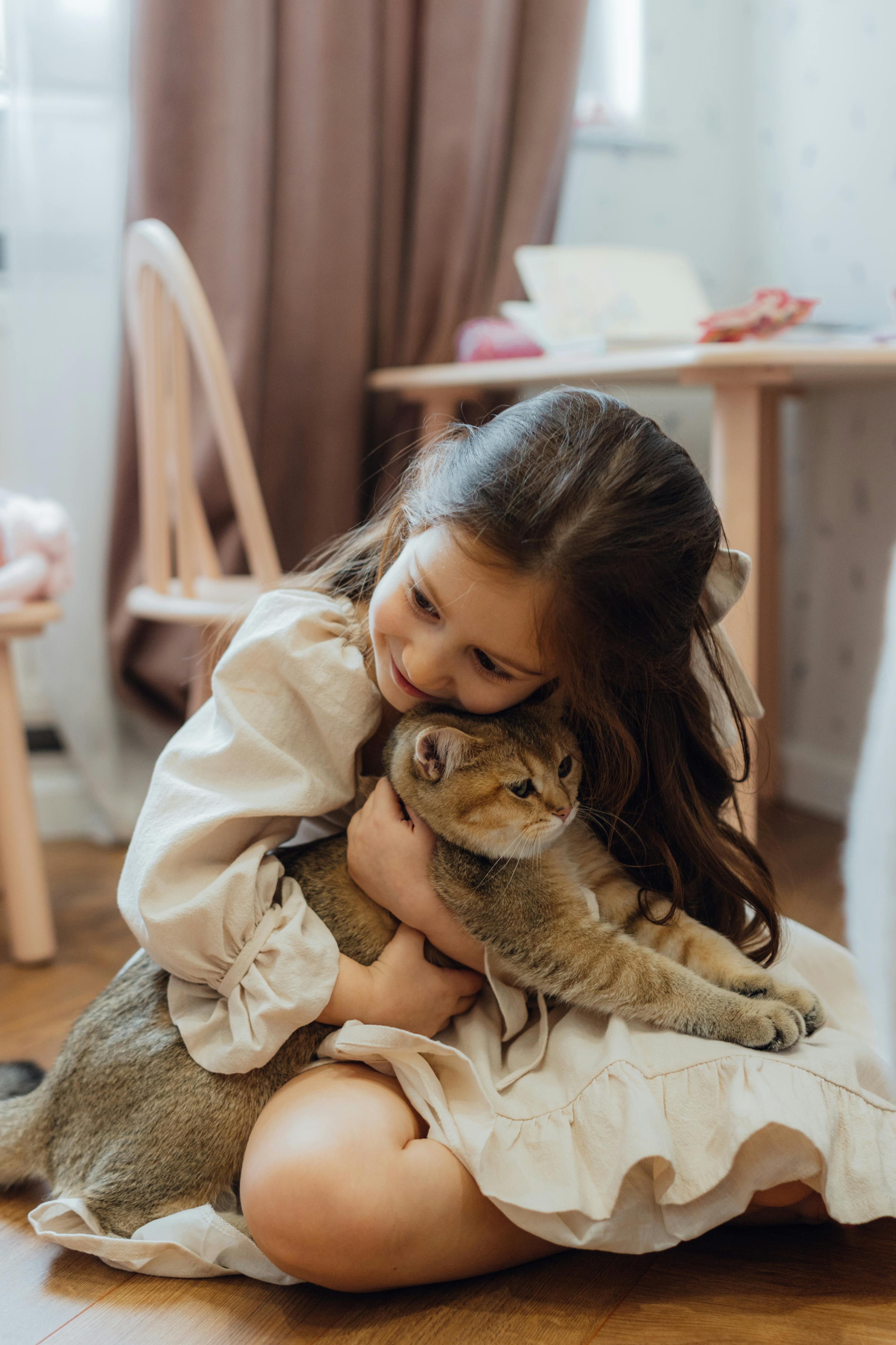 Cat Scratch Disease, Cat Scratch Disease Symptoms