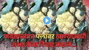 Snake inside cauliflower video