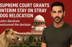 John Abraham : अभिनेता जॉन अब्राहमची आधी सर्वोच्च न्यायालयाला विनंती; आता मानले आभार…