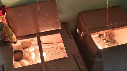 Chicken rearing at the Primary Health Center in Lakhandur Dighori Moti