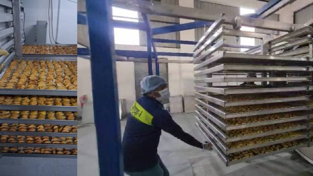 Chiku fruit processing started at Gholwad Dahanu