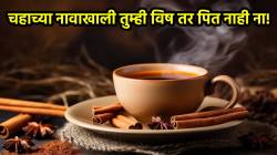 तुम्ही पित असलेला चहा विष तर नाही ना? पोषणतज्ज्ञांनी दिला ‘हा’ इशारा अन् सांगितली बनवण्याची योग्य पद्धत
