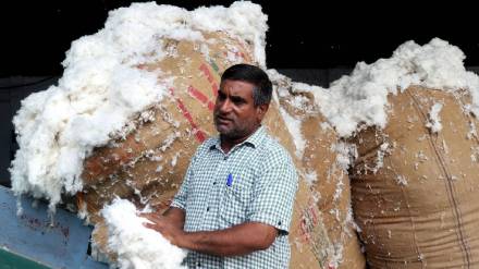 Cotton import duty exemption creates problems for textile industry Kolhapur news