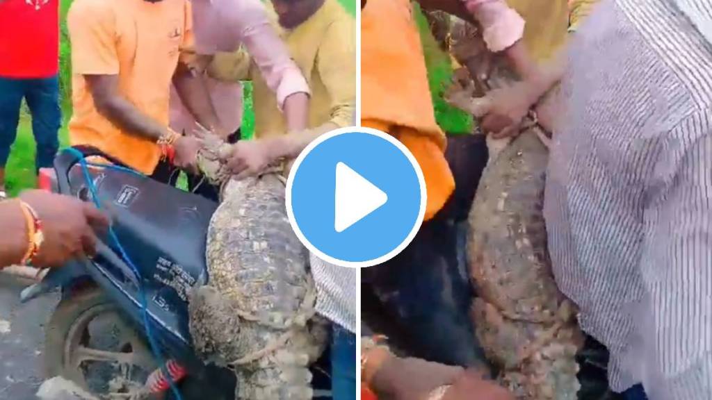 Crocodile Bike shocking Rescue Video viral