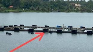 Crocodile found in Sawantwadi's Moti Lake, trap set by forest department fails