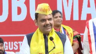 What Devendra Fadnavis Said?