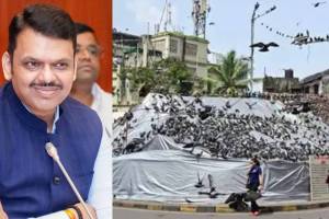What Devendra Fadnavis Said?