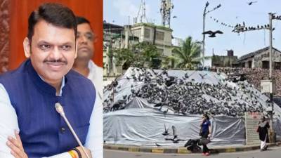 Devendra Fadnavis : मुंबईत कबुतरखाने असणार की नाही? देवेंद्र फडणवीस म्हणाले; “मी स्पष्टच सांगतो…”