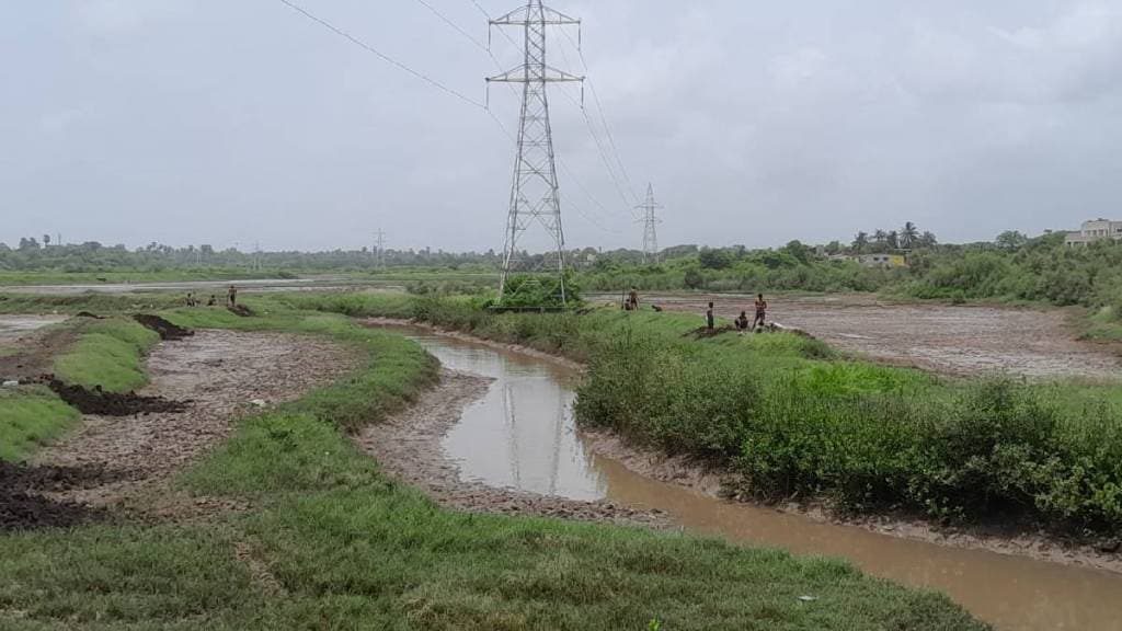 Obstacles for mangrove forest in Chandrasagar Khajana, Dahanu removed