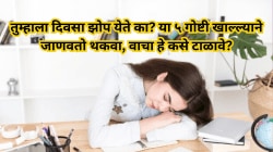 Daytime Sleep: तुम्हाला दिवसा झोप येते का? या ५ गोष्टी खाल्ल्याने जाणवतो थकवा, वाचा हे कसे टाळावे?