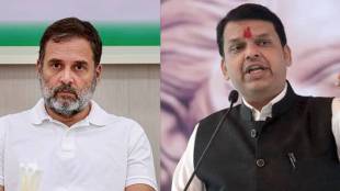 Chief Minister Devendra Fadnavis criticizes Rahul Gandhi