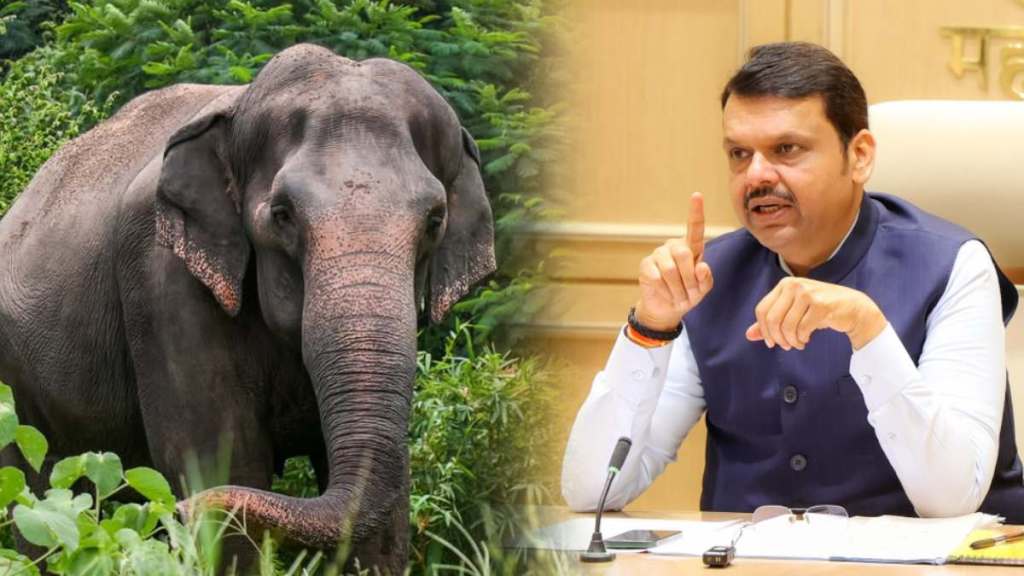 Devendra Fadnavis on Mahadevi Elephant (1)
