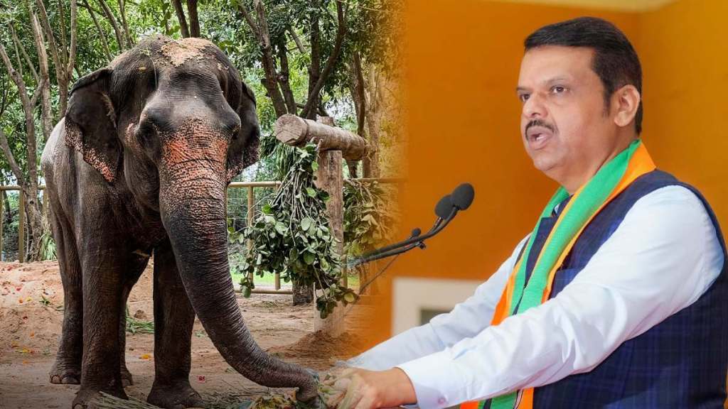 Devendra Fadnavis on Mahadevi Elephant