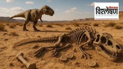राजस्थानच्या जैसलमेरमध्ये सापडले डायनासोर युगातील अवशेष!