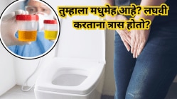 तुम्हाला मधुमेह आहे? लघवी करताना त्रास होतो? ‘या’ २ आयुर्वेदिक औषधी वनस्पती ठरतील रामबाण उपाय, आयुर्वेद तज्ज्ञांचा सल्ला