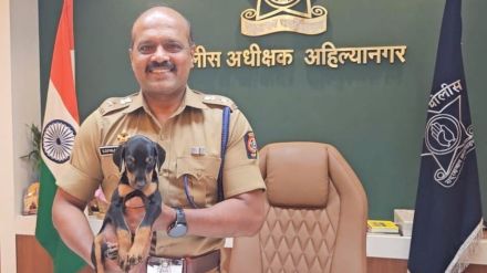 Doberman puppy Bravo joins Ahilyanagar police dog squad for future crime detection Doberman puppy Bravo joins Ahilyanagar police dog squad for future crime detection