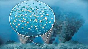 Loksatta kutuhal How and when did life begin on Earth Researchers Miller and Urey