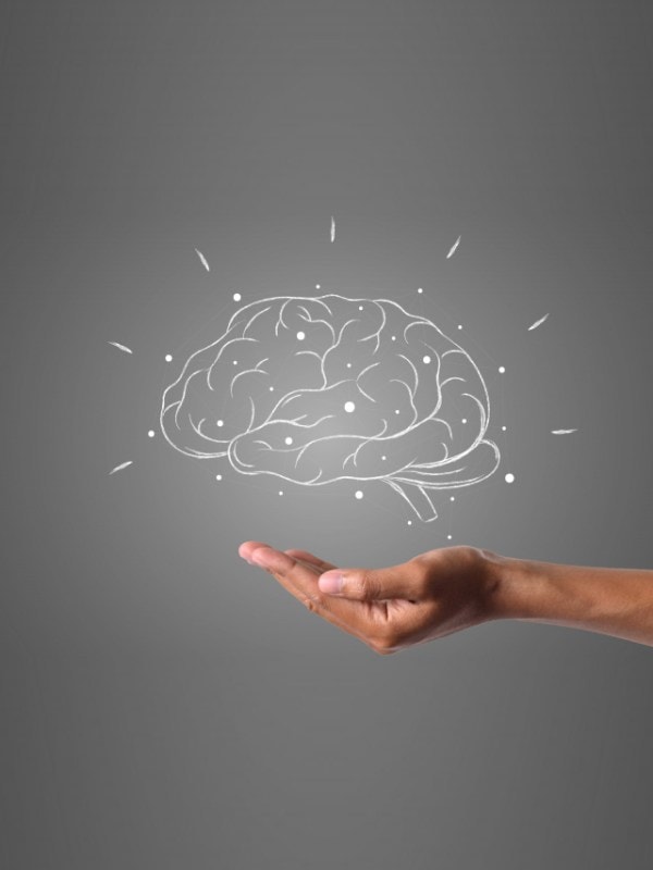 Eat These Foods To Boost Memory