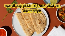 गव्हाची पोळीऐवजी पोषकतत्वांनी समृद्ध असलेली ही Multigrain पोळी खा! मिळतील एकपेक्षा एक जबरदस्त फायदे