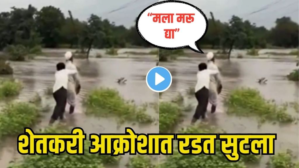 Heavy Rain Crop Damage Maharashtra