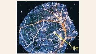 marathi article Fertilized chicken eggs used virology cultivate measure viral growth through pock forming units