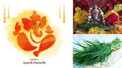Ganesh Chaturthi 2025: गणपतीला दुर्वा का वाहतात माहितीये का? आरोग्यासाठीही अतिशय गुणकारी, मिळतात ‘हे’ फायदे…
